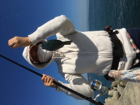 今日は、ぼらを吸い込みでゲット＾＾口太クロもゲット。